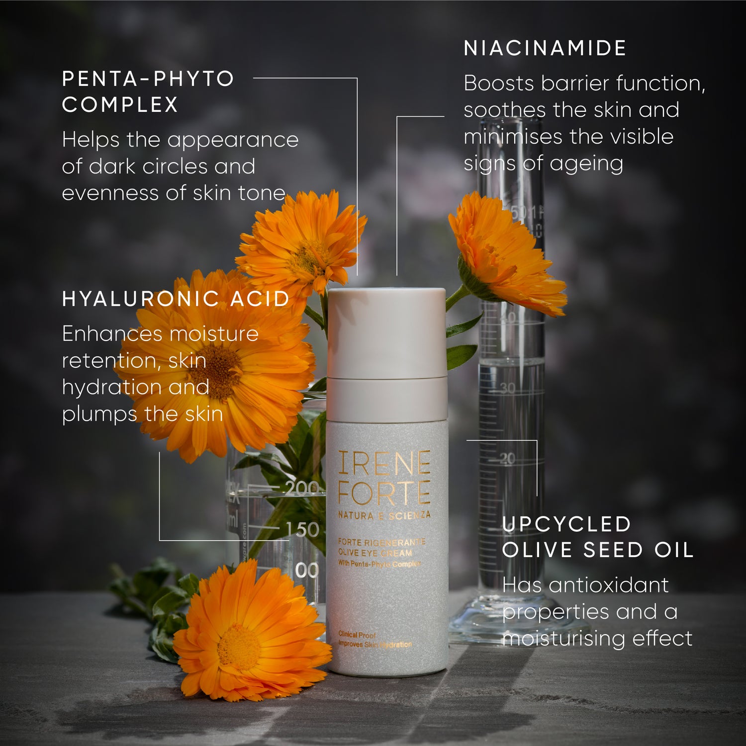 Oliven-Augencreme Refill