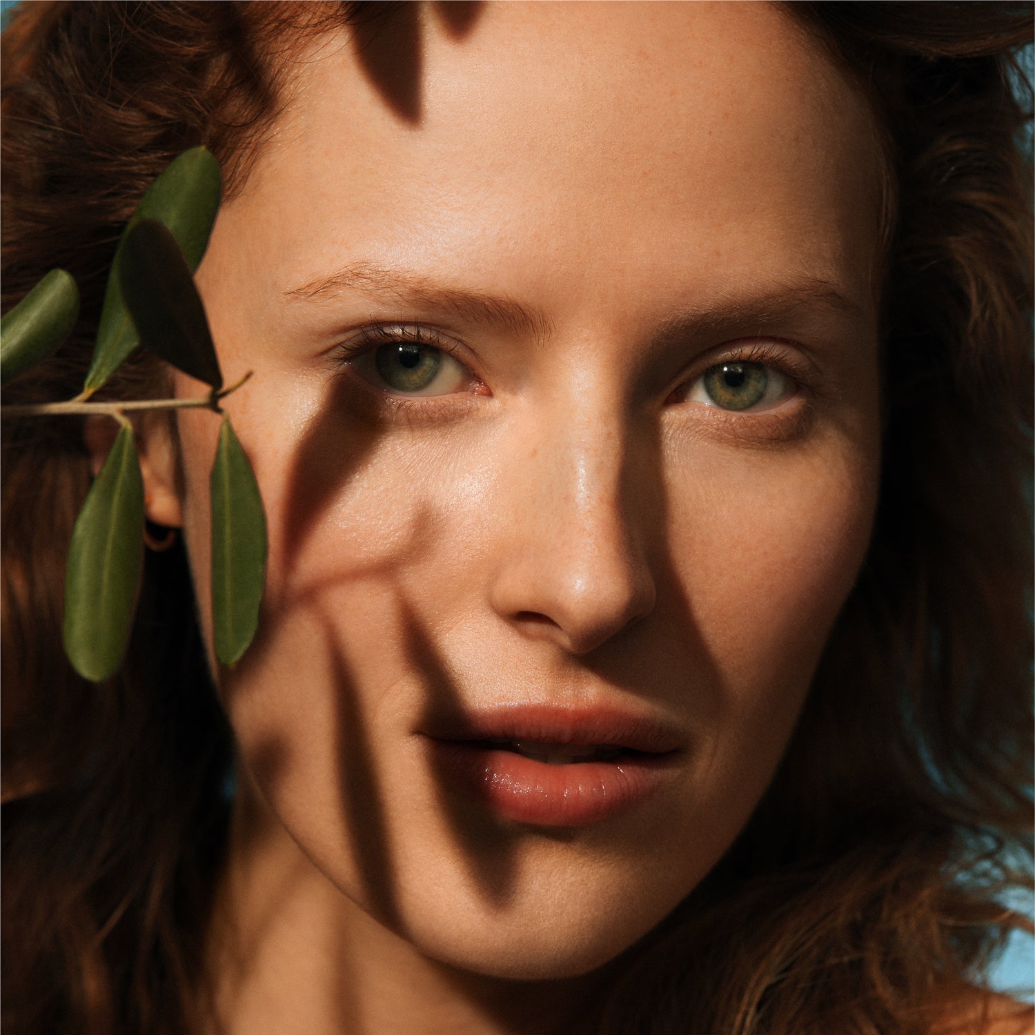 Oliven-Augencreme Refill