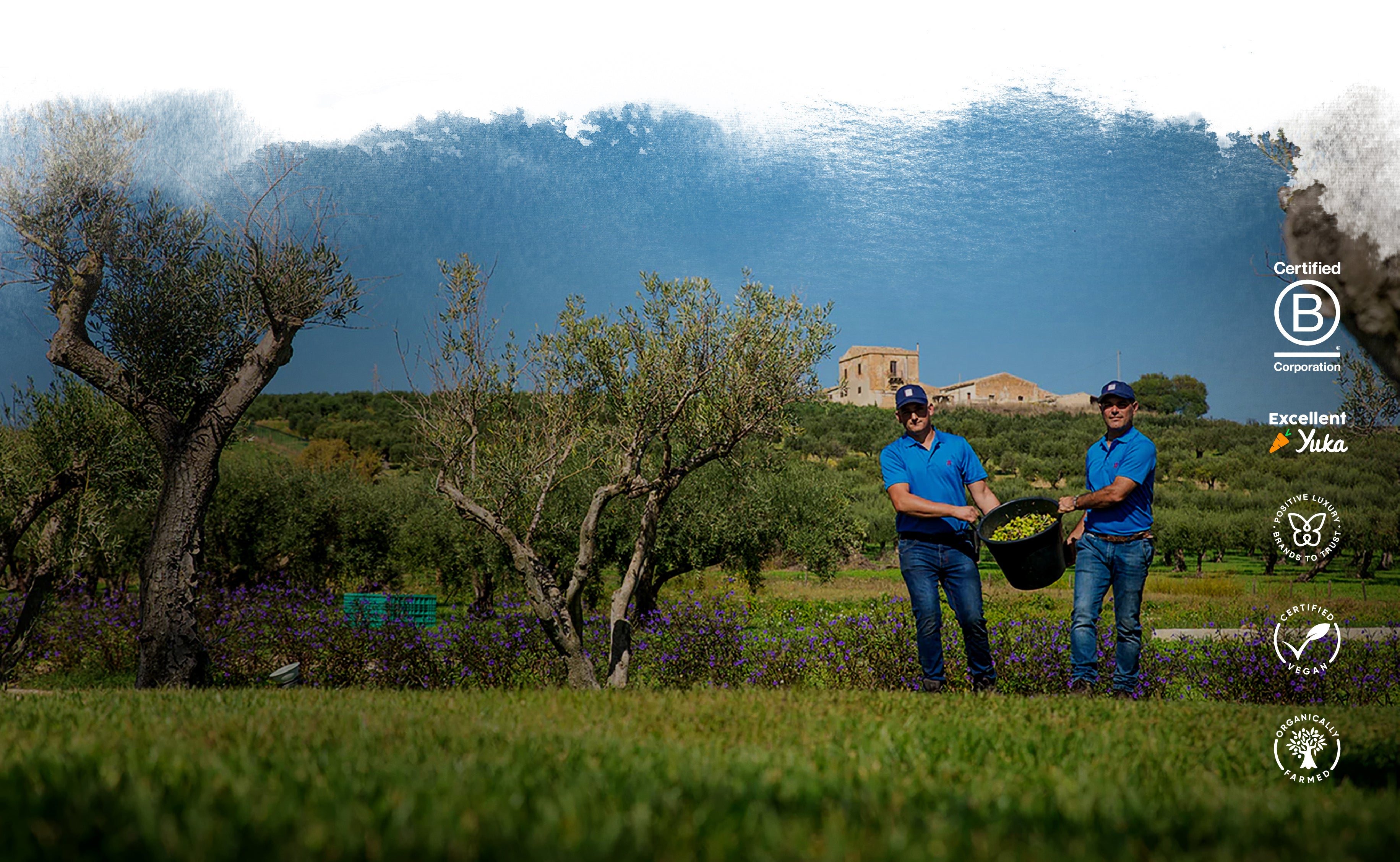 Sustainability_Irene_Forte_Skincare_DT