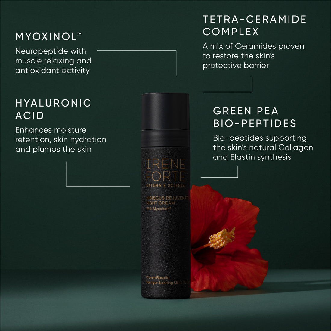 Hibiscus Rejuvenating Night Cream