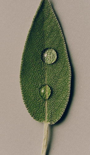 mobile-image